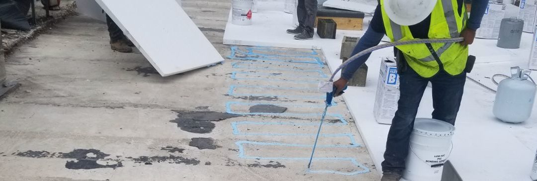 Commercial Roof Maintenance: Prevent Expensive Damage
